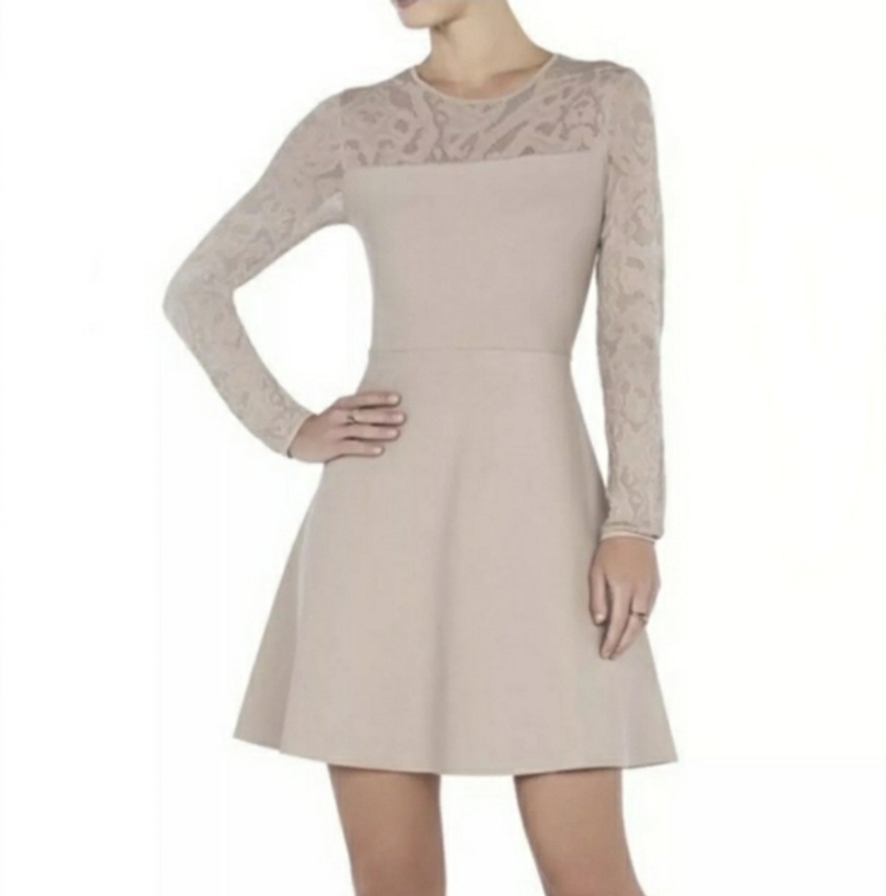 BCBGMAXAZRIA  Gracee Bandage Lace Mini Dress Size S Soychai Quiet Luxury Neutral